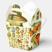 MUSHÖME 2 GESCHENKSCHACHTEL (Geöffnet)