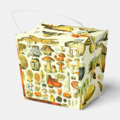 MUSHÖME 2 GESCHENKSCHACHTEL (Rückseite)