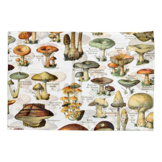 MUSHÖME 4 KISSENBEZUG (Rückseite)