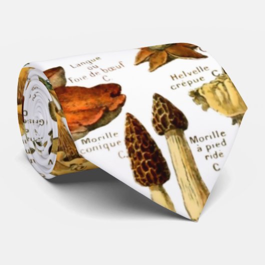 MUSHÖME 4 KRAWATTE (Gerollt)