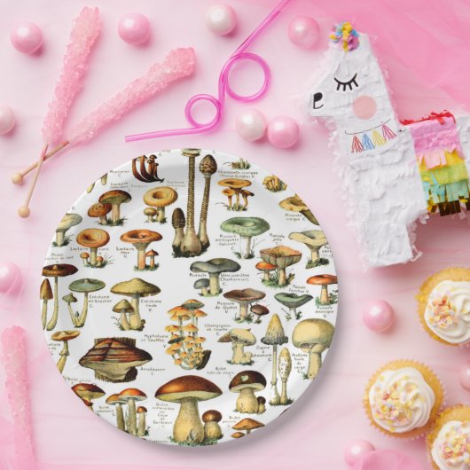 MUSHÖME 4 PAPPTELLER (Party)