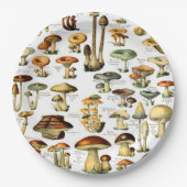 MUSHÖME 4 PAPPTELLER (Vorderseite)