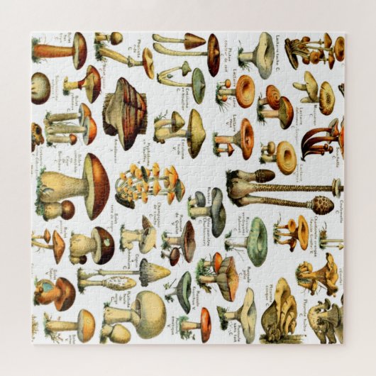 MUSHÖME 4 PUZZLE (Horizontal)