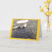 Mushroom and Lichen in Wisconsin Blank Note Card Karte (Gelbe Blume)