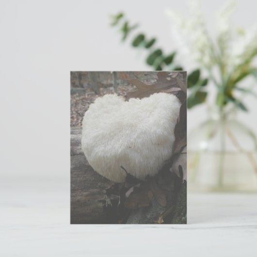Mushroom Bearded Tooth (Hericium erinaceus) Postkarte (Stehend Vorderseite)