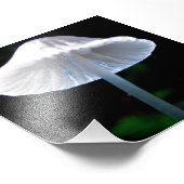 Mushroom beleuchtet fotodruck (Ecke)