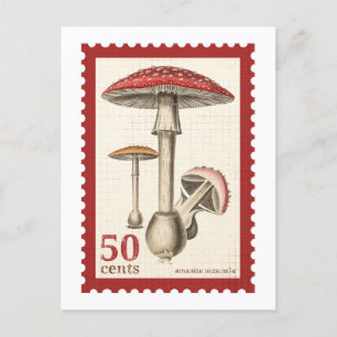Mushroom-Briefmarke Postkarte