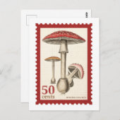 Mushroom-Briefmarke Postkarte (Vorne/Hinten)