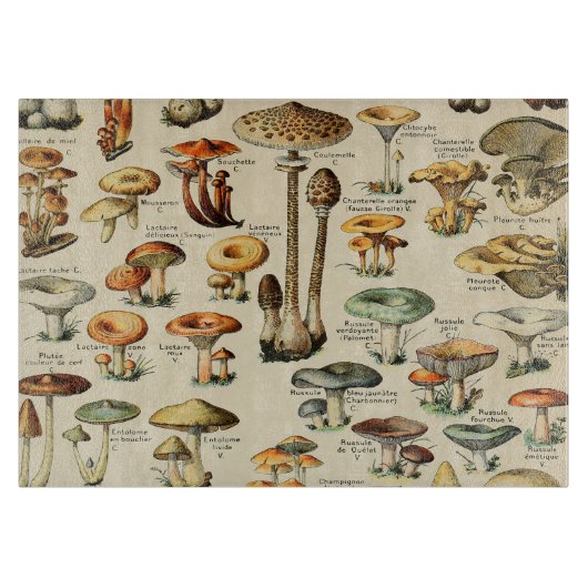 Mushroom CollectionCutting Board Schneidebrett (Vorderseite)