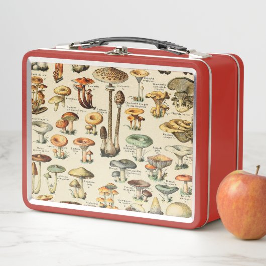 Mushroom    CollectionMetal Lunch Box (Beispiel)