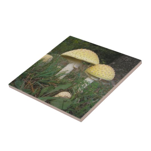 Mushroom Delight! Fliese (Seite)