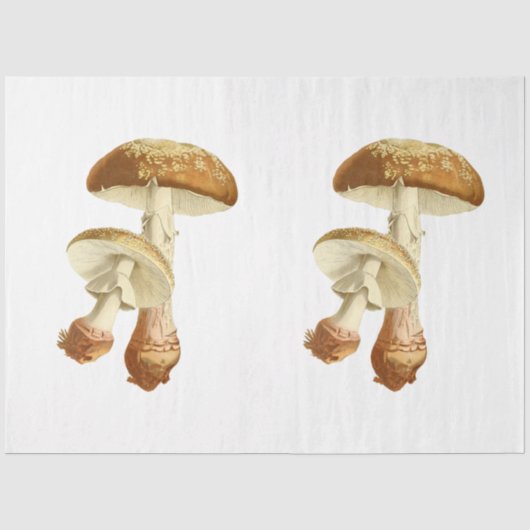 Mushroom Ephemera Design Series #26 Seidenpapier (Vorderseite)