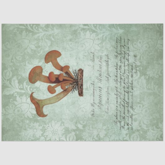 Mushroom Ephemera Design Series #2 Seidenpapier (Vorderseite)