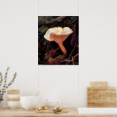 Mushroom Essence Print -20x24 -andere Größen auch Poster (Küche)