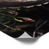 Mushroom Eye Poster (Ecke)