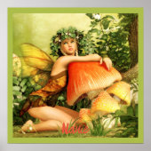 Mushroom Fairy Thunder_Cove Poster (Vorne)