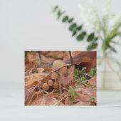 Mushroom-Familie Postkarte (Stehend Vorderseite)