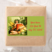 Mushroom Fee Thunder_Cove (Insitu)