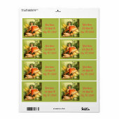 Mushroom Fee Thunder_Cove (Vorne)