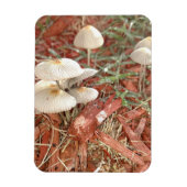 Mushroom Foto Magnet (Vertikal)