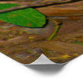 Mushroom Foto Poster (Ecke)