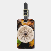 Mushroom Gepäckanhänger (Vorderseite vertikal)