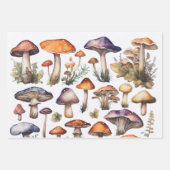 Mushroom Geschenkpapier Set (Vorderseite)