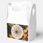 Mushroom Geschenkschachtel (Geöffnet)