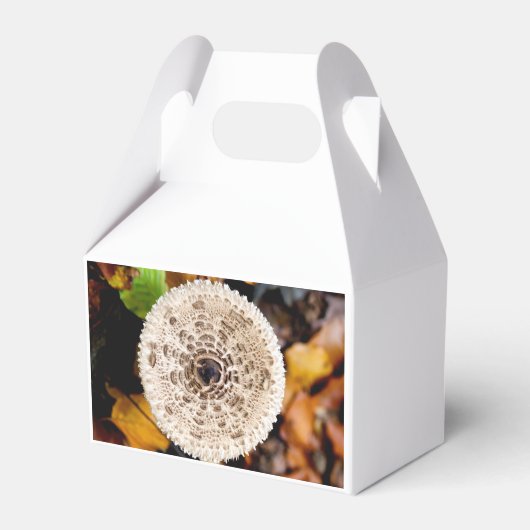 Mushroom Geschenkschachtel (Vorderseite)