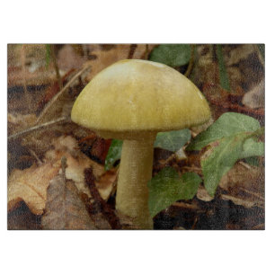 Mushroom Glass Chopping Board Schneidebrett