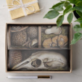 Mushroom Goblincore Witchy Nature Decoupage Seidenpapier (Geschenk)