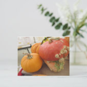 Mushroom Gourd Postkarte (Stehend Vorderseite)