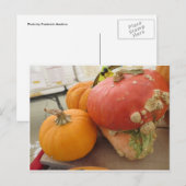 Mushroom Gourd Postkarte (Vorne/Hinten)