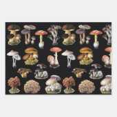 Mushroom-Hütte Geschenkpapier Set (Vorderseite 2)