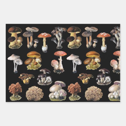 Mushroom-Hütte Geschenkpapier Set (Vorderseite 2)