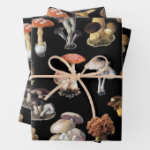 Mushroom-Hütte Geschenkpapier Set (Beispiel)