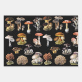 Mushroom-Hütte Geschenkpapier Set (Vorderseite)