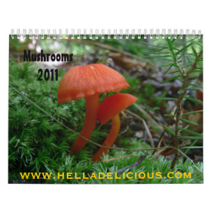 Mushroom-Kalender Kalender