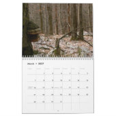 Mushroom-Kalender Kalender (Mär 2027)