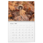 Mushroom-Kalender Kalender (Jan 2027)