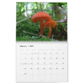 Mushroom-Kalender Kalender (Feb 2027)