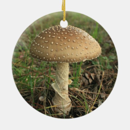 Mushroom Keramik Ornament (Hinten)