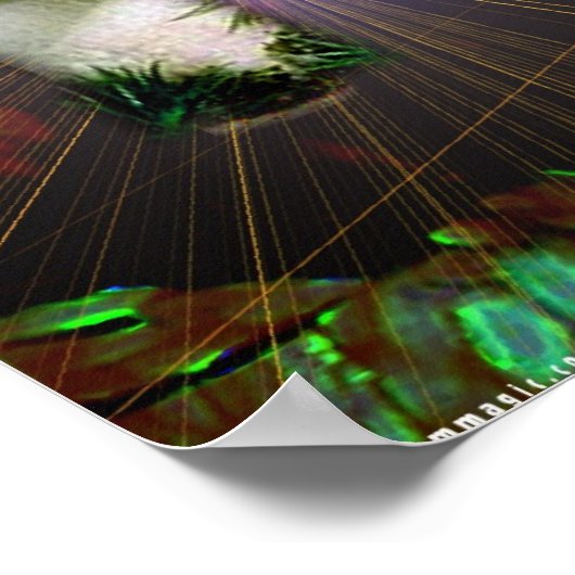 Mushroom Magic Poster (Ecke)