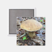 Mushroom Magnet (Vorderseite/Rückseite)