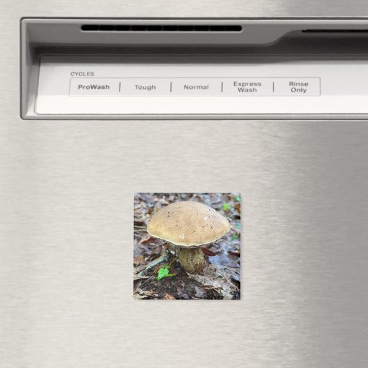 Mushroom Magnet (In Situ (Geschirrspüler))