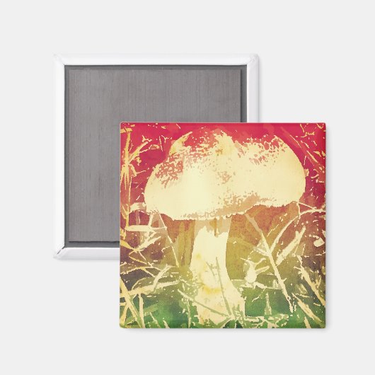 Mushroom-Magnet Magnet (Vorderseite/Rückseite)