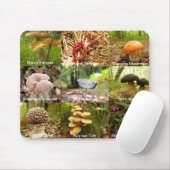 Mushroom Mousemat Mousepad (Mit Mouse)