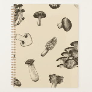 Mushroom-Muster Planer