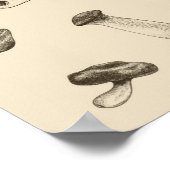 Mushroom-Muster Poster (Ecke)