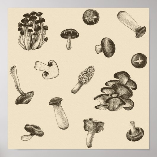 Mushroom-Muster Poster (Vorne)
